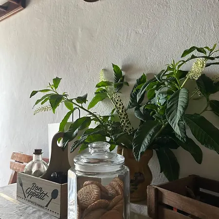 Apartmán Rodia *