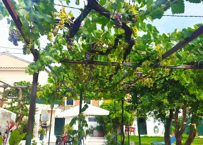 Rodia * Kynopiástai