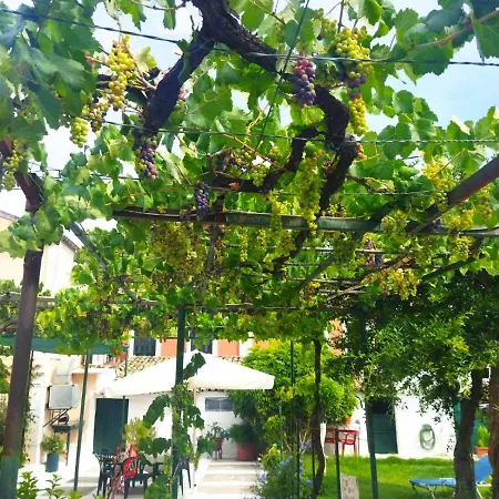 Rodia * Kynopiástai