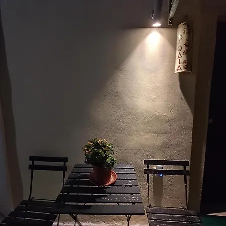 Rodia Κυνοπιάστες