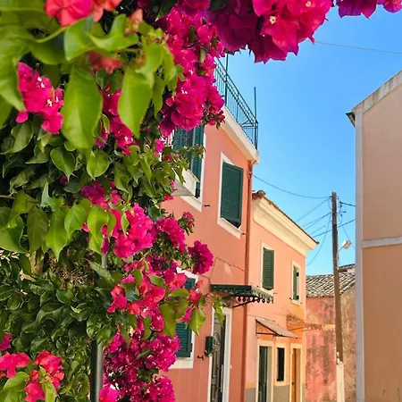 Apartament Rodia